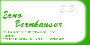 erno bernhauser business card
