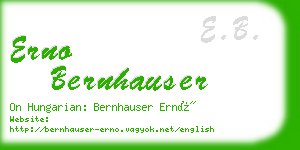 erno bernhauser business card